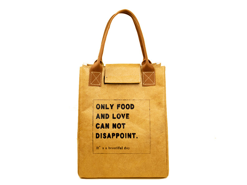 Tyvek Lunch Bag